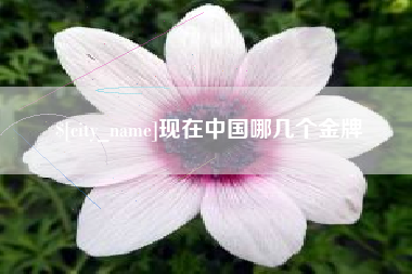 海盐现在中国哪几个金牌