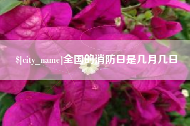 海盐全国的消防日是几月几日