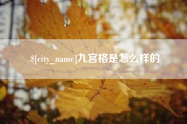 海盐九宫格是怎么样的