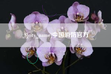海盐中国消防官方