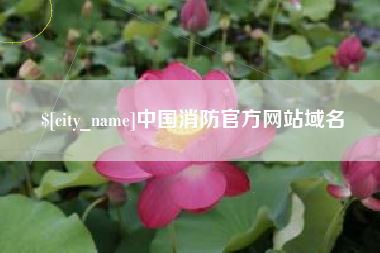 海盐中国消防官方网站域名