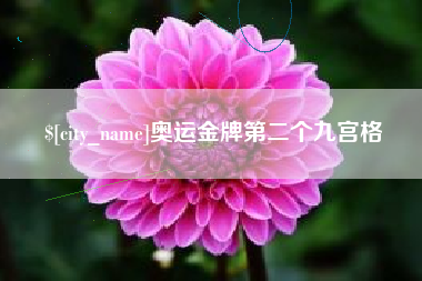 海盐奥运金牌第二个九宫格