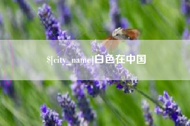 海盐白色在中国