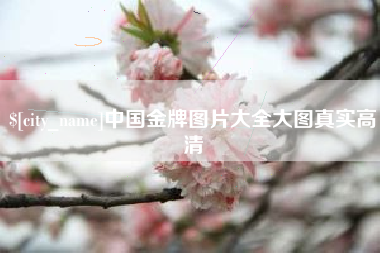 海盐中国金牌图片大全大图真实高清
