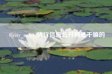 海盐执行信息公开网是干嘛的