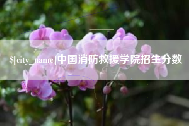 海盐中国消防救援学院招生分数