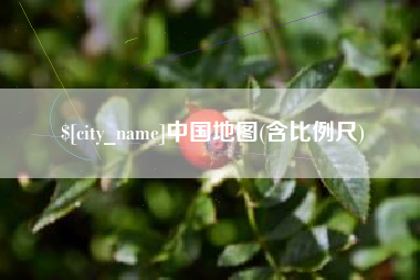海盐中国地图(含比例尺)