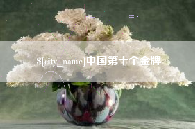 海盐中国第十个金牌