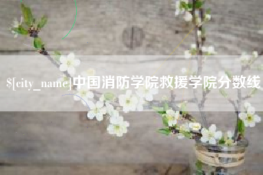 海盐中国消防学院救援学院分数线