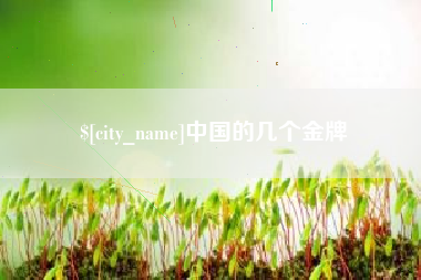 海盐中国的几个金牌