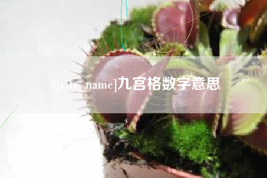 海盐九宫格数字意思