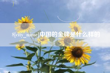 海盐中国的金牌是什么样的
