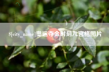 海盐奥运夺金时刻九宫格图片