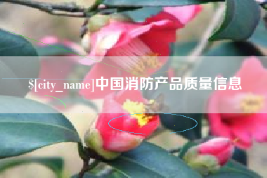 海盐中国消防产品质量信息