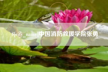 海盐中国消防救援学院张勇