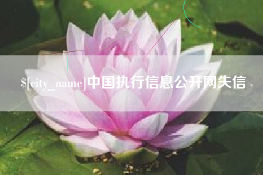 海盐中国执行信息公开网失信