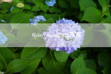 海盐2022九宫