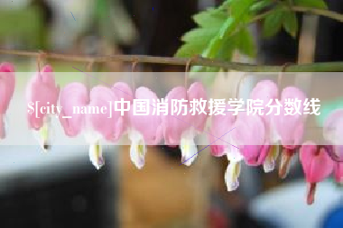 海盐中国消防救援学院分数线