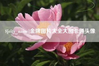 海盐金牌图片大全大图卡通头像