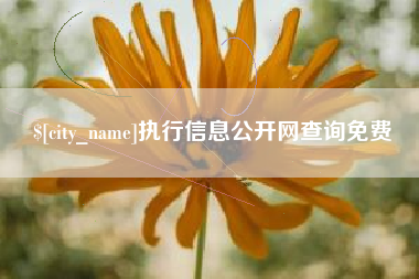 海盐执行信息公开网查询免费
