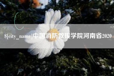 海盐中国消防救援学院河南省2020